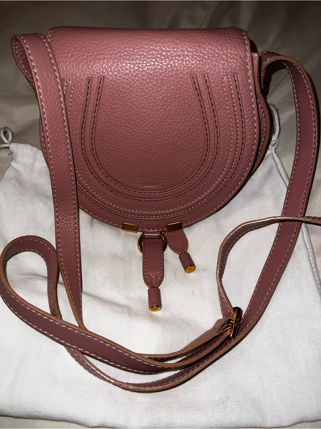 Chloe Mini Marcie Anemone Pink Saddle Bag